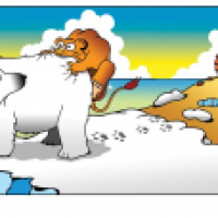 Polar Lions