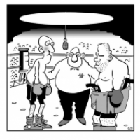 Boxers