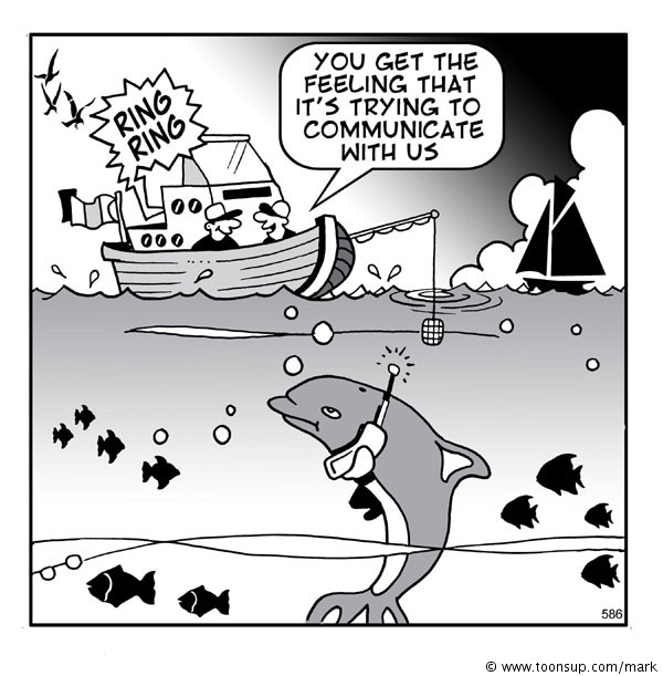 Cartoon: Dolphins 1