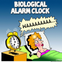 alarm clock