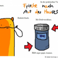 Frische