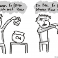 Fische füttern