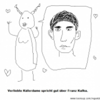 Käfer
