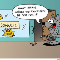 Book: Reisswolf 1
