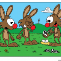 Fuball-Eier