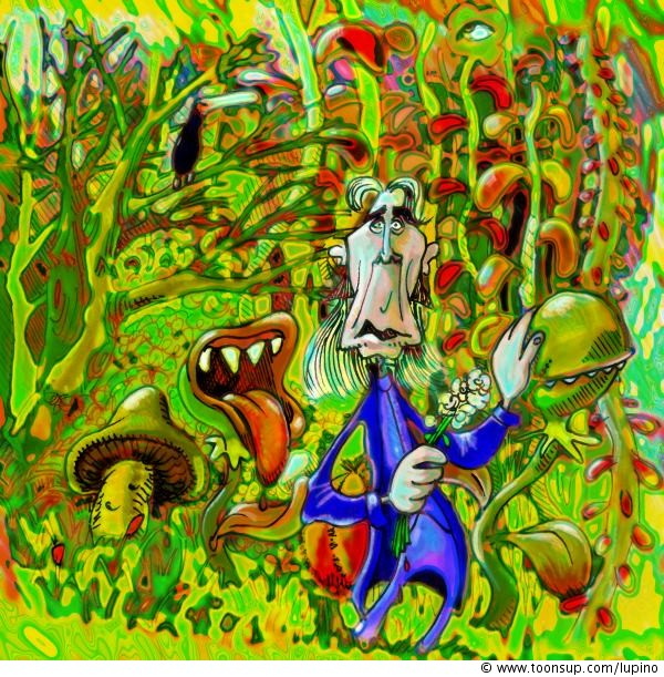 Illustration: Garten 1