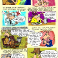 Superhund und das Glück