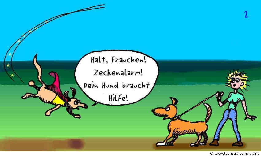 Comic: Superhunds erstes Abenteuer 3