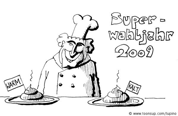 Cartoon: Superwahljahr 1