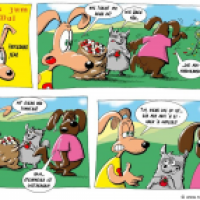 Superhund und der 1.Mai