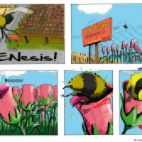 GENesis