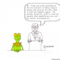 Another Celebrity Apologizes