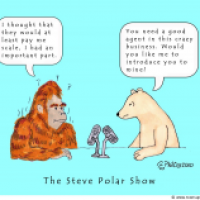 Bigfoot seen on IMAX film
