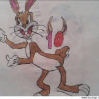bunny