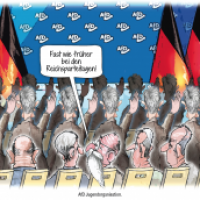 AFD Reichparteitag 2025