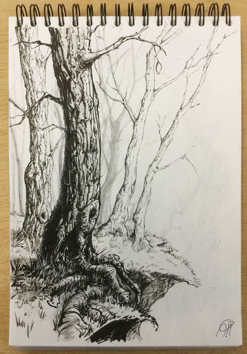 Illustration: Inktober #15 - Trees 1
