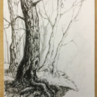 Inktober #15 - Trees
