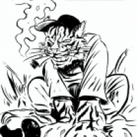 Tiger von  CATwalk