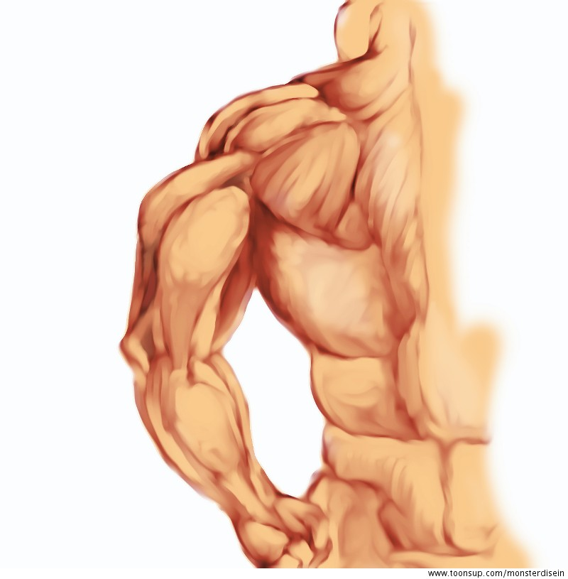 Illustration: Rückenstudie 1