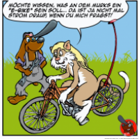 Das E-Bike