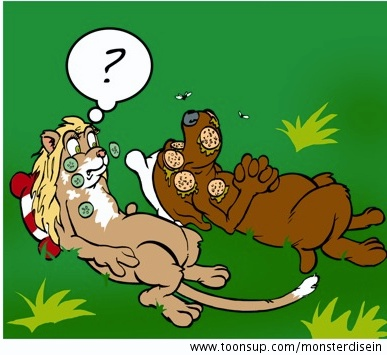 Cartoon: März 2008 Strip - weiss nimmer so genau 6