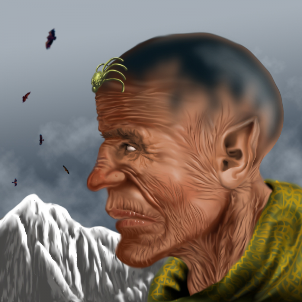 Illustration: Zauberer des Spinnenordens 1