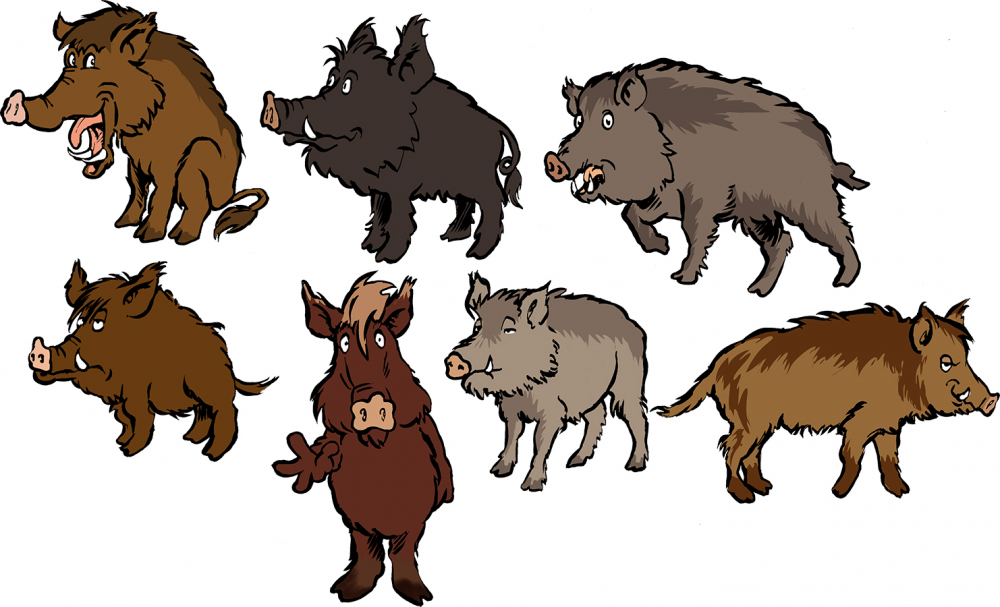 Concept Art / Character Design: Viele Wildschweine 2