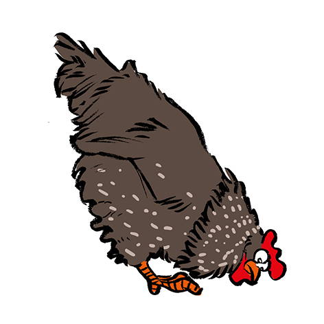 Illustration: Ganz viele Hühner ... 14