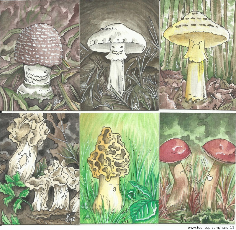Illustration: Herbstfrüchte 1