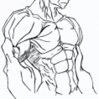 list.png