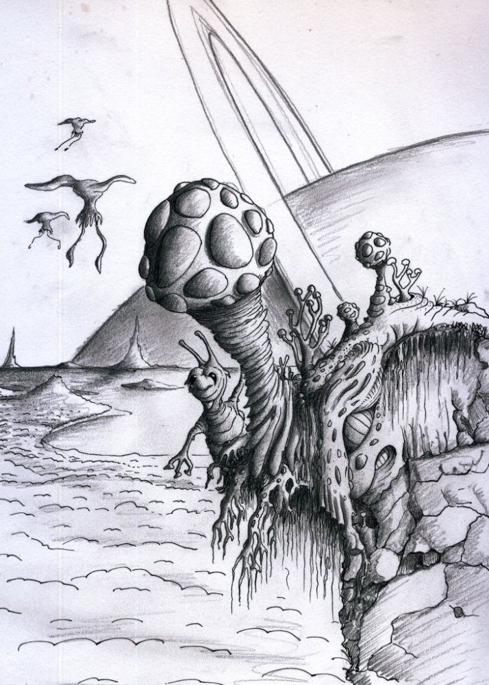 Illustration: Moon 1