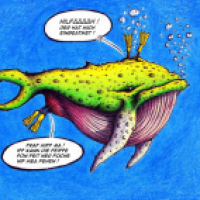 Whale-watching