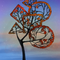 Strange Trees in my Garden.