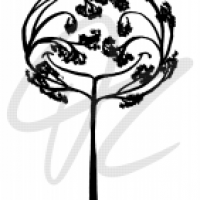 Smiling Tree