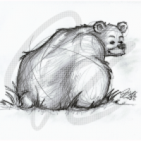 Hello, Bear!