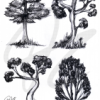 Collection of Trees