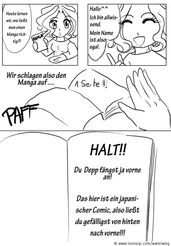 Comic: Mangalesen für Anfänger 1