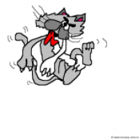 Goofy Cat