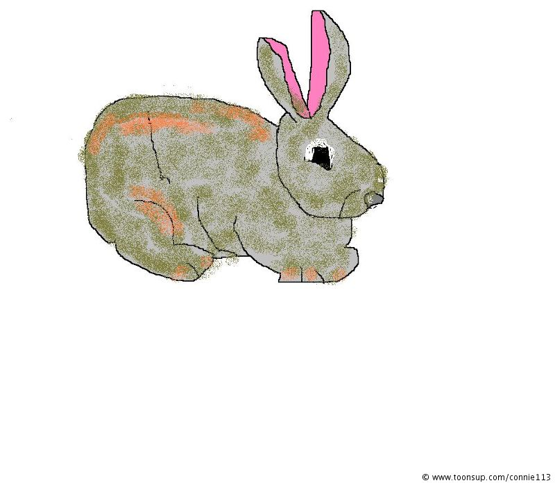 Illustration: Bunny 1