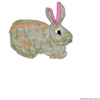 Bunny
