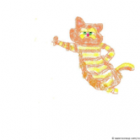 cat