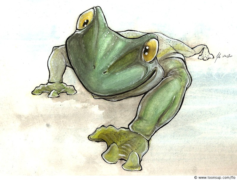Illustration: Frog 1
