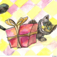Wonder Box