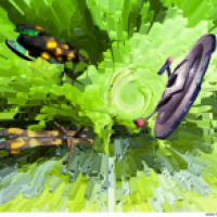 Flucht durch die Zeit 1