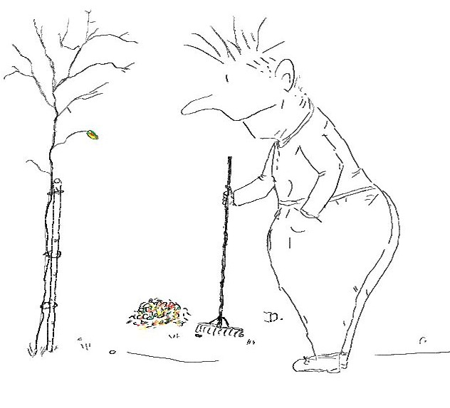 Cartoon: Nun fall schon 1