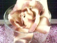 Anderes: Rosen in Pink 2