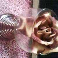 Rosen in Pink