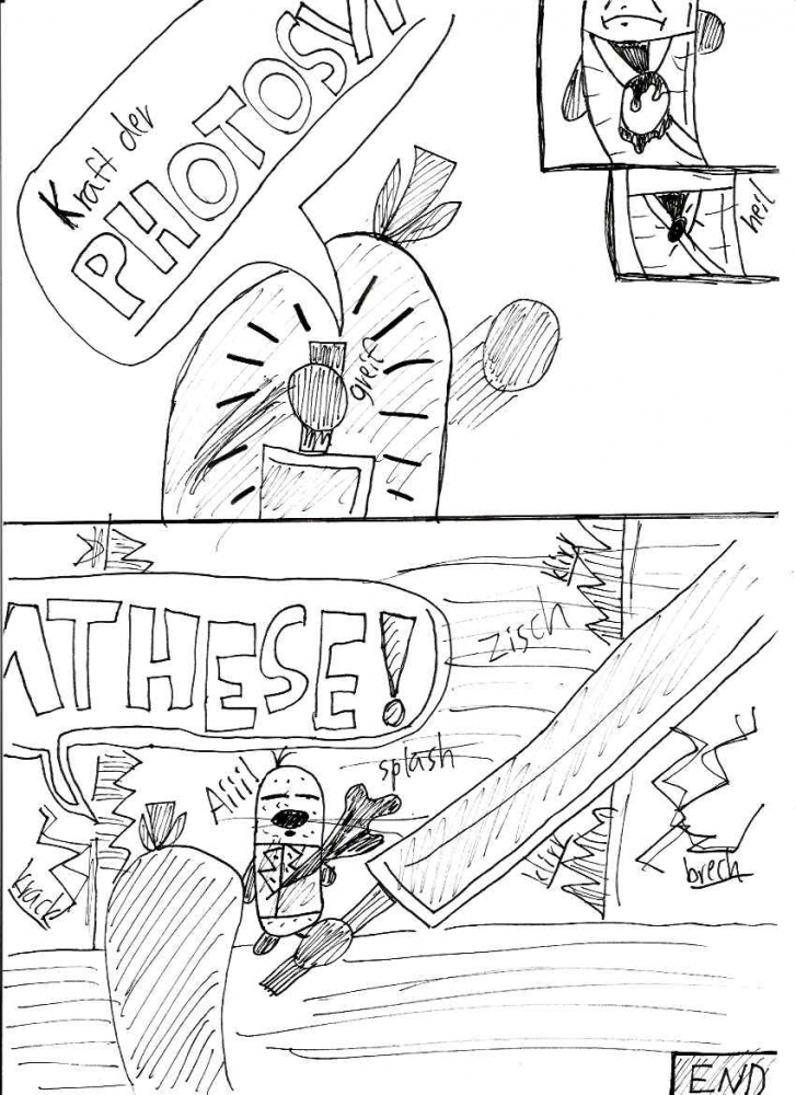 Comic: VEGETABLES OF WAR 2 5