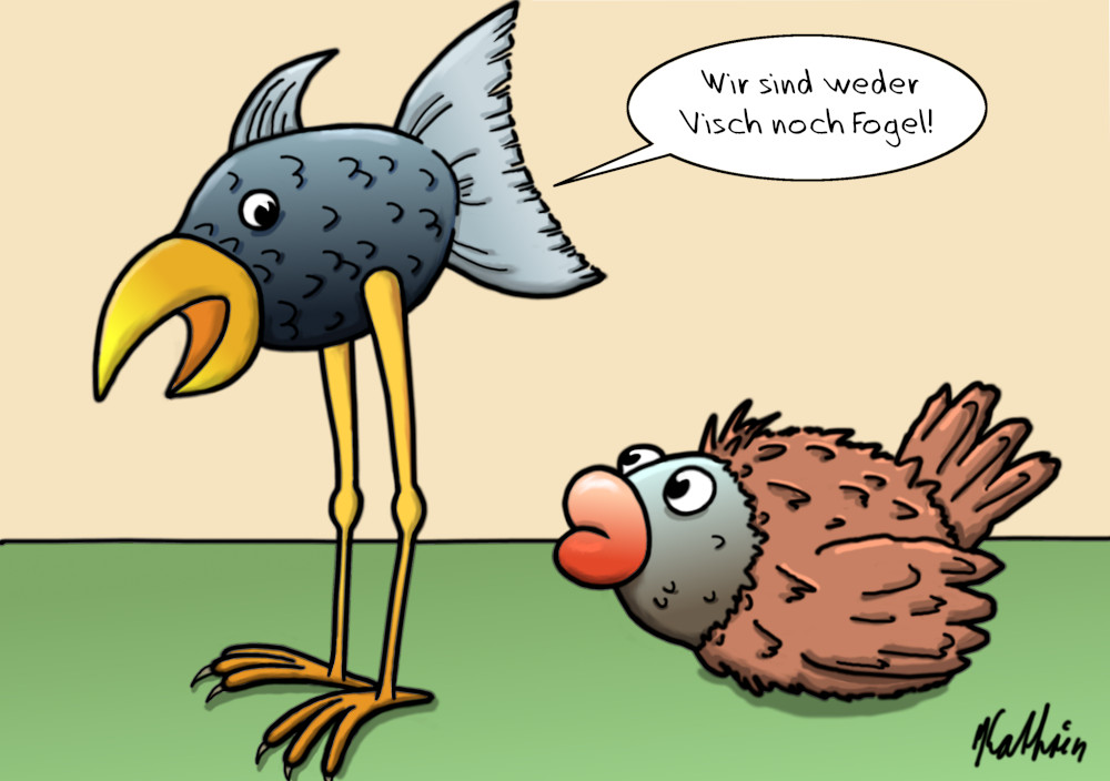 Cartoon: Visch-Fogel 1
