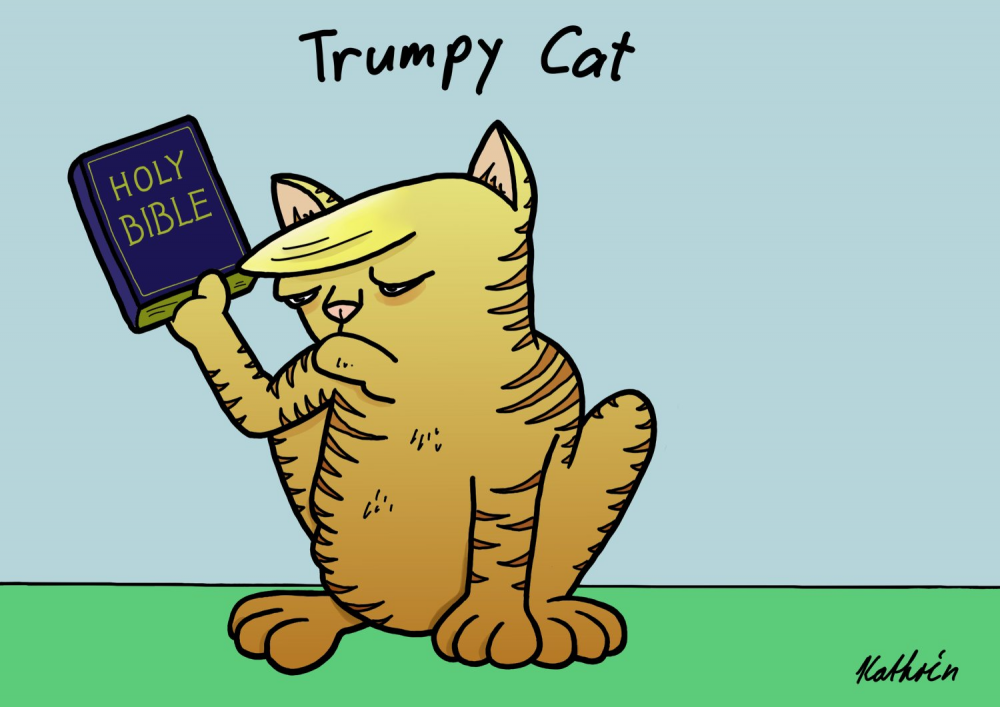 Cartoon: Trumpy Cat 1